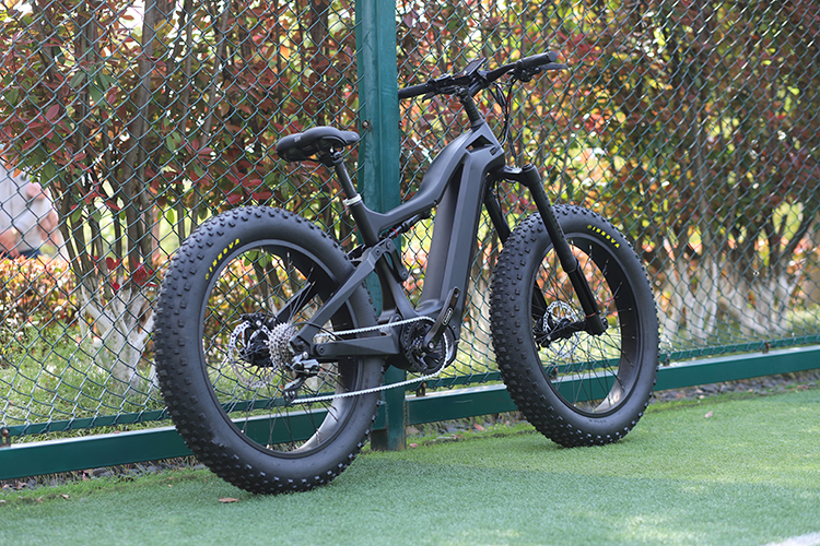 1000w Bafang M620 Mountain Fat Tire Ebike Full Suspension