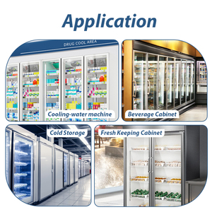 Termostato Electrónico EW-T205 para Refrigeración, Controlador de Temperatura para Descongelación de Refrigeradores y Gabinetes Frigoríficos - Product Image 4