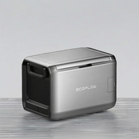 Réfrigérateur de voiture classique Ecoflow 45/55L double zone température contrôlée accessoires de studio photo réfrigérateur portable
