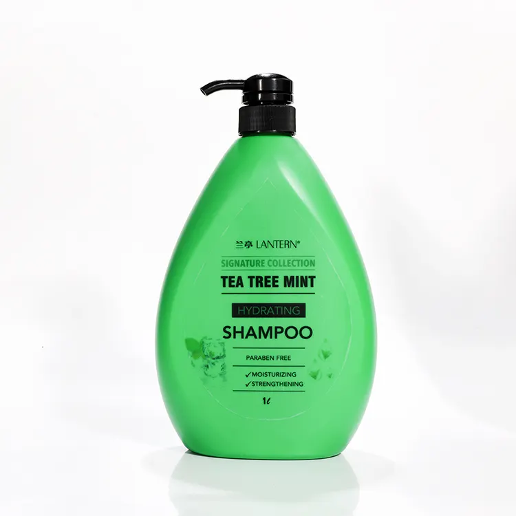 Produttore Hotsale OEM ODM Private Label Shampoo per capelli idratante ed elastico tè Trea Mint cura dei capelli personalizzata
