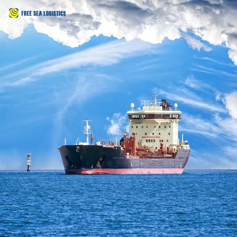 FREEEA envío proveedor de China promotor de carga de mar de envío a Bélgica