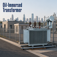 Transformateur de distribution triphasé immergé dans l'huile pour usage agricole et parcs industriels, 30 kVA, 63 kVA, 80 kVA, 125 kVA, 6 kV, 10 kV