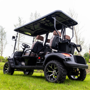 Carrito de Golf Eléctrico de Diseño de Fábrica 2026, Tipo 2+2, Todoterreno, 4 Plazas - Product Image 4