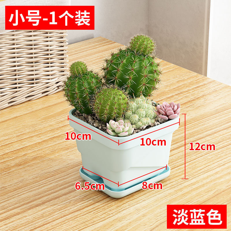 สไตล์ C, สีฟ้าอ่อน, ปากทรงสี่เหลี่ยม, ขนาด 10 ซม., พร้อมฐาน [1 ชิ้น]