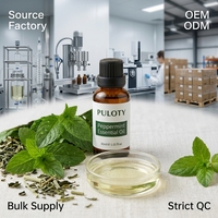 Huile de menthe poivrée pure 30 ml, distillée à la vapeur, huile de menthe OEM ODM, approvisionnement en vrac pour l'aromathérapie, les cosmétiques, les soins bucco-dentaires, le nettoyage, matière première