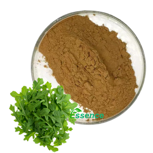 ผงสกัด arugula บริสุทธิ์ผง ERUCA sativa 10:1สารสกัดจาก ativa ผงสกัดจรวดธรรมชาติ - Product Image 1