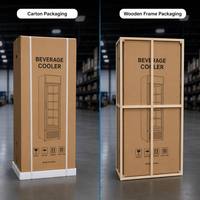 Réfrigérateur commercial vertical 250L à température unique, à froid direct, pour la présentation de boissons