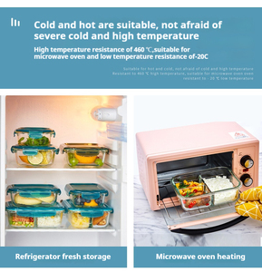 Контейнер для хранения пищевых продуктов из боросиликатного стекла - Product Image 6