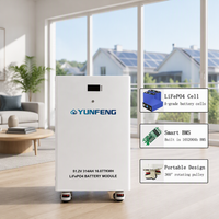Аккумулятор Power Wall 48В 51.2В 300Ач 314Ач для солнечных батарей, домашний накопитель энергии 16кВтч, LiFePO4 батарея с JK BMS для бытового использования