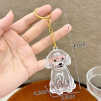 Nicro Prix usine Porte-poils commémoratifs transparents pour animaux de compagnie (chiens et chats), boîtes, sacs, pendentifs, porte-clés en plastique à suspendre, cadeaux promotionnels