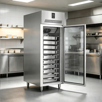 Réfrigérateur vertical commercial à porte unique, type européen, en acier inoxydable, pour restaurant, GN -22C, dégivrage automatique, OEM ODM