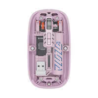 Souris sans fil ergonomique 3D RGB transparente à prix d'usine, double mode 2.4G+BT, légère, portable, pour jeux, étanche