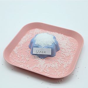 Bolsas de 50kg de calcio Granular Ma Gnesium Ni Trate Can Crystal Nitrato Fertilizante - Product Image 2