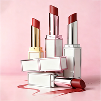 NOUVEAU Rouge à lèvres mat à label privé, imperméable, longue tenue, velours, gloss nude, lisse, non collant, maquillage cosmétique