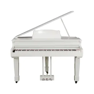 Wholesale Music Instrument Weighted 88 Keyboard Upright Digital Musical Pianos