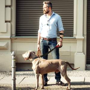 เชือกไนล่อนสะท้อนแสงสำหรับสุนัขเชือกลากจูงสำหรับสัตว์เลี้ยงเชือกลากมีที่จับสองชั้นแบนราบทนทานสูง180ซม. - Product Image 2