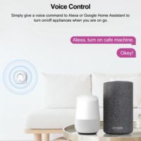 Enchufe Inteligente GIRIER 20A Tuya Wifi EU con Función de Monitoreo de Energía, Control Remoto por Aplicación Smart Life
