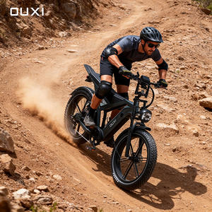 Vélo électrique 24 pouces GT24 Fatbike 250 Watt avec batterie intégrée pour livraison de repas - Entrepôt UE - Product Image 1