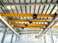 Gru a Ponte Monotrave ad Alta Precisione con Gru a Braccio: Soluzione di Sollevamento Integrata per Officine di Assemblaggio Attrezzature
