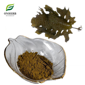 Suministro de fábrica Extracto de <span class=keywords><strong>cava</strong></span> Ecklonia natural de alta calidad/Ecklonia <span class=keywords><strong>Cava</strong></span> P. E/Extracto de <span class=keywords><strong>cava</strong></span> Ecklonia 10% Phlorotannins Powder - Product Image 1