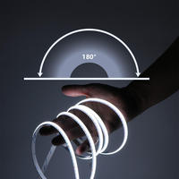 Bande lumineuse FOB Ra90 personnalisable 10 mm 480/m 5m/rouleau WiFi Télécommande Garantie 3 ans Éclairage commercial