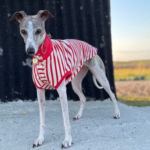 Qiqu Pet Shop Dog Summer <strong>Clothing</strong> Clothes Stripe <strong>Popper</strong> up Tee t Shirt Vest Dress for Whippets Italian Greyhound Sighthound - Product Image 2