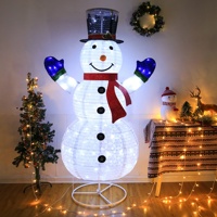 Guirlandes lumineuses à led avec batterie de 31V, lumière blanche chaude et froide, pour mariage et noël