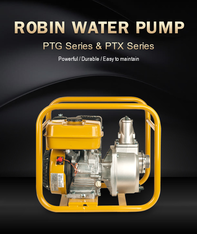 Robin水中ポンプ Cheap Original Robin Water Pump - High Quality & Reliable