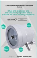 Pressostat antidéflagrant YTX-160B pour pression d'air et vide 0-1,6 MPa, en acier inoxydable 304, garantie 6 mois, support personnalisé