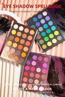 Palette de maquillage OEM nouvelle conception 72 couleurs Magic Book Palette de fards à paupières de haute qualité