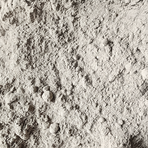 FLY ASH Prix promotionnel pour le ciment Matières premières Cendres volantes de charbon Fabricant vietnamien - Product Image 1