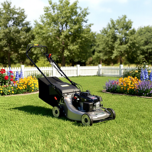 Hand <strong>Push</strong> Lawn <strong>Mower</strong> 4 Stroke Gasoline Engine Commercial Crawler Slope <strong>Mower</strong> for Industrial Landscaping - Product Image 4