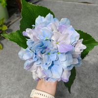Hoogwaardige real touch latex hortensia bloemen met kleurovergang voor bruiloft, thuis, tafelvaas decoratie en bloemstukken