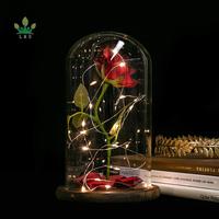 Lampu LED Mawar Ajaib Ramah Lingkungan Ukuran Sesuai Pesanan Terinspirasi Beauty and the Beast dengan Kubah Kaca, Bunga Merah, Kelopak Bunga yang Rontok, dan Kayu