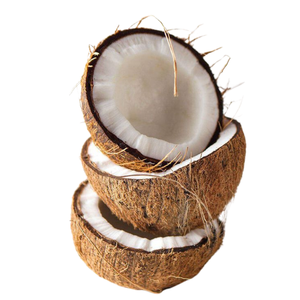 Agricultura de alta calidad 100% Coco natural Coco seco Proveedor Personalización Embalaje Fabricación de en Vietnam - Product Image 3