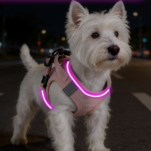 Chaleco Reflectante Ajustable Antitirones con <span class=keywords><strong>Correa</strong></span> de Hombro de Nailon Duradero y Moderno <span class=keywords><strong>para</strong></span> Mascotas, Talla Pequeña - Product Image 2