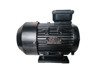 <span class=keywords><strong>Motor</strong></span> <span class=keywords><strong>de</strong></span> Eje Interno Femenino <span class=keywords><strong>de</strong></span> 4kW 5.5hp 5.5kW 7.5hp para Hidrolavadora <span class=keywords><strong>de</strong></span> Alta Presión 380V 220V Personalizable - Product Image 1