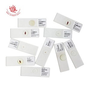 Preparación de Portaobjetos de Microscopio para Parásitos Médicos, 25 Tipos de Especímenes de Biología de Parásitos, Portaobjetos de Parásitos Reales Transparentes - Product Image 5