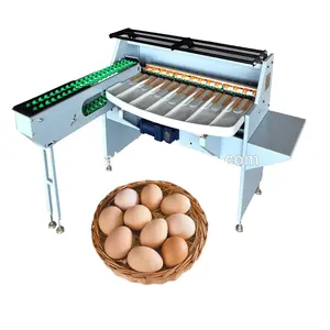 Gran oferta 2024, clasificadora de huevos/máquina clasificadora Ggg/máquina clasificadora de huevos