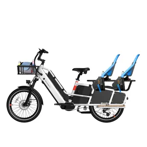 Nuovo Design doppia batteria rimovibile EU CE versione Bafang 250W due ruote Cargo Bike elettrico