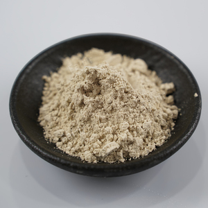 Fairir Direto da Fábrica 100% Puro Natural Extrato Herbal de <span class=keywords><strong>Psyllium</strong></span> <span class=keywords><strong>Husk</strong></span> em Pó Bege Grau Alimentício Embalagem em Tambor Envio Rápido Preço Competitivo - Product Image 2