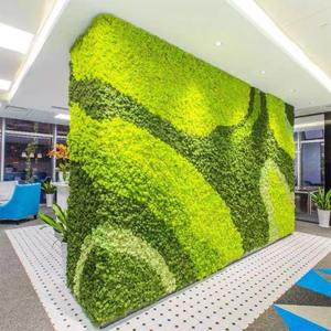 <span class=keywords><strong>Tableau</strong></span> mural en <span class=keywords><strong>mousse</strong></span> verte véritable avec cadre en bois, peintures de plantes artificielles de haute qualité pour la décoration intérieure, aménagement paysager et décorations de Pâques - Product Image 2