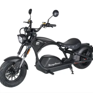 Mangoustan M1PS-Knight entrepôt européen CEE COC 72V 4000W 40Ah gros pneu Scooter électrique hachoir électrique Citycoco