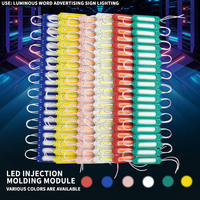 Module lumineux LED en plastique étanche LiuHJG pour la décoration et les enseignes publicitaires extérieures