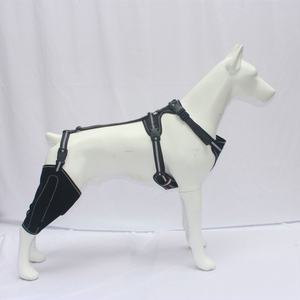 पालतू सुरक्षात्मक गियर कुत्ते हिंद पैर सुरक्षात्मक कवर सर्जिकल सहायक धातु समर्थन समायोज्य कुत्ते घुटने का ब्रेस - Product Image 6