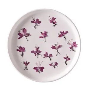 Lindheimer's beeblossom Clockweed/White Pink Gaura/India Feather For Frame and Resin Art Pressed Flowers