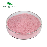 Wellgreen Usda Gecertificeerd 100% Natuurlijk Granaatappelfruitpoeder