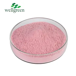 Wellgreen USDA Certified 100% Natural Pomegranate Fruit Powder