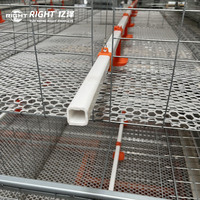 Cage à poulets automatique de type H, 4 étages, capacité de 15 000 oiseaux, acier galvanisé à chaud avec système d'alimentation et d'abreuvement