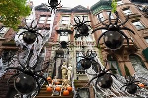 Palloncini in Foil di Halloween: Set di Fantasmi, Pipistrelli, Scheletri, Ragni e Zucche <span class=keywords><strong>per</strong></span> Decorazioni di Feste di Compleanno <span class=keywords><strong>per</strong></span> Bambini, Articoli a Tema Trick or Treat - Product Image 6